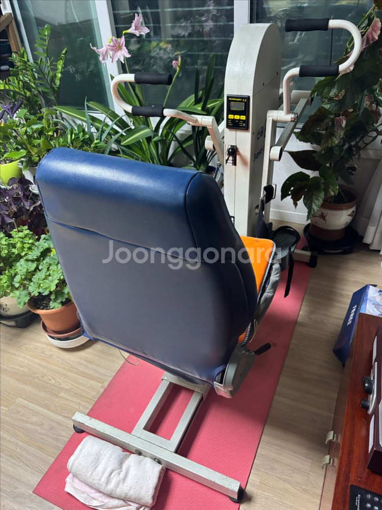 재활 자전거 (코끼리) 신광 Super dynamic 3000 스텝퍼--1