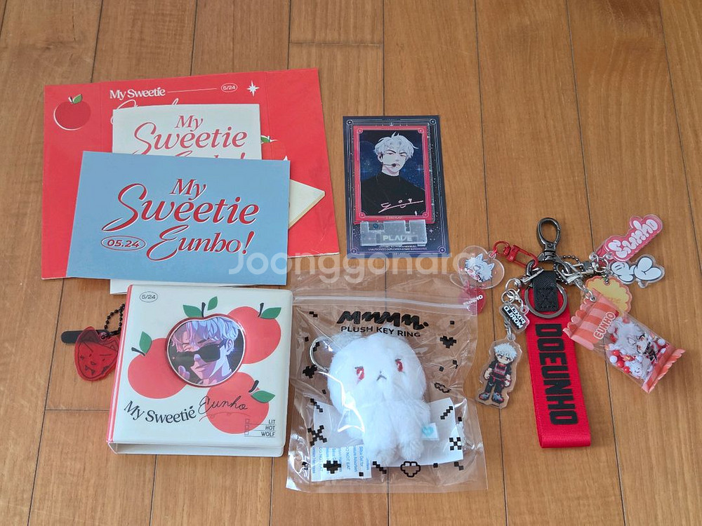 플레이브 은호 굿즈 일괄판매--0