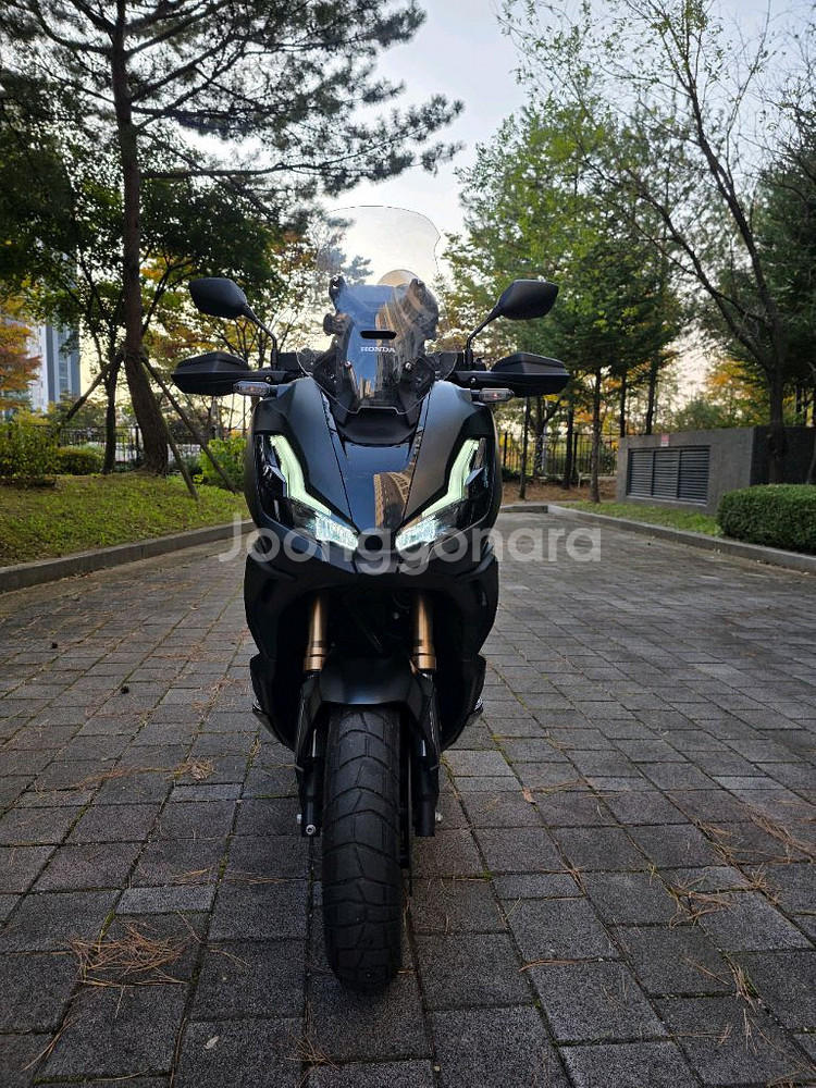24년식 ADV350 짧은 키로수 블랙 판매--1