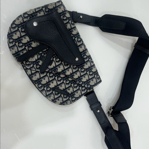 디올 오블리크 새들백