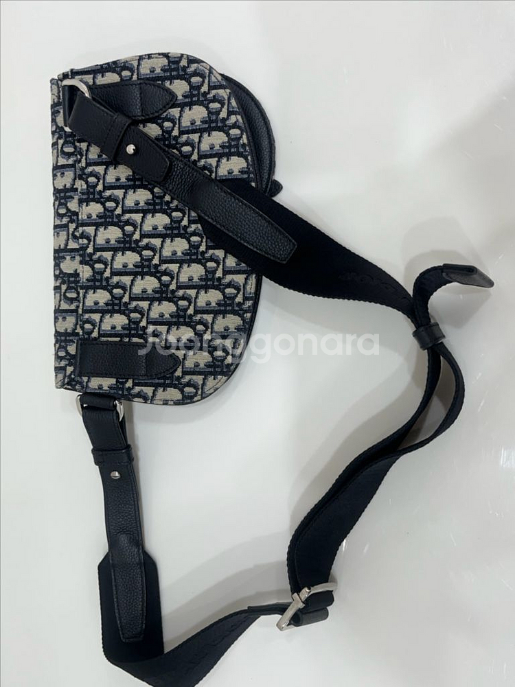 디올 오블리크 새들백--2