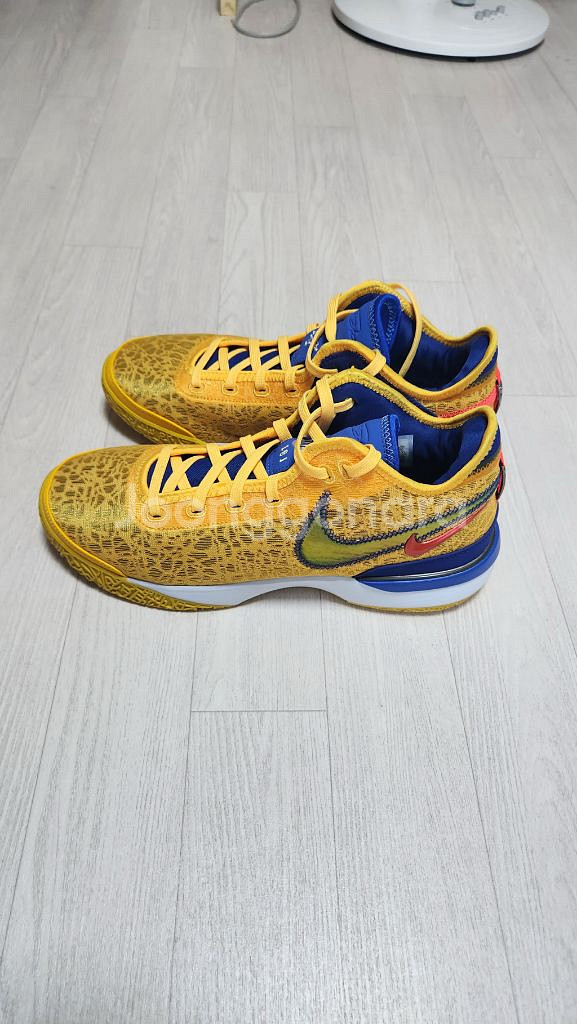 나이키 르브론 넥스트젠 ep 타이탄 285 농구화--1