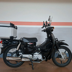 혼다 24년검정 슈퍼커브 110신차급팝니다