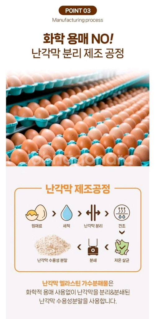 난각막가수분해물정--6