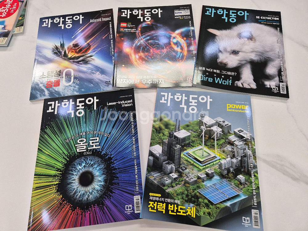 과학동아 고학년용 과학잡지 25년 최신호(4~9월)--1