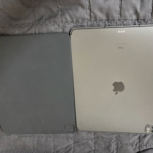 아이패드 프로 5세대12.9 셀룰러 128