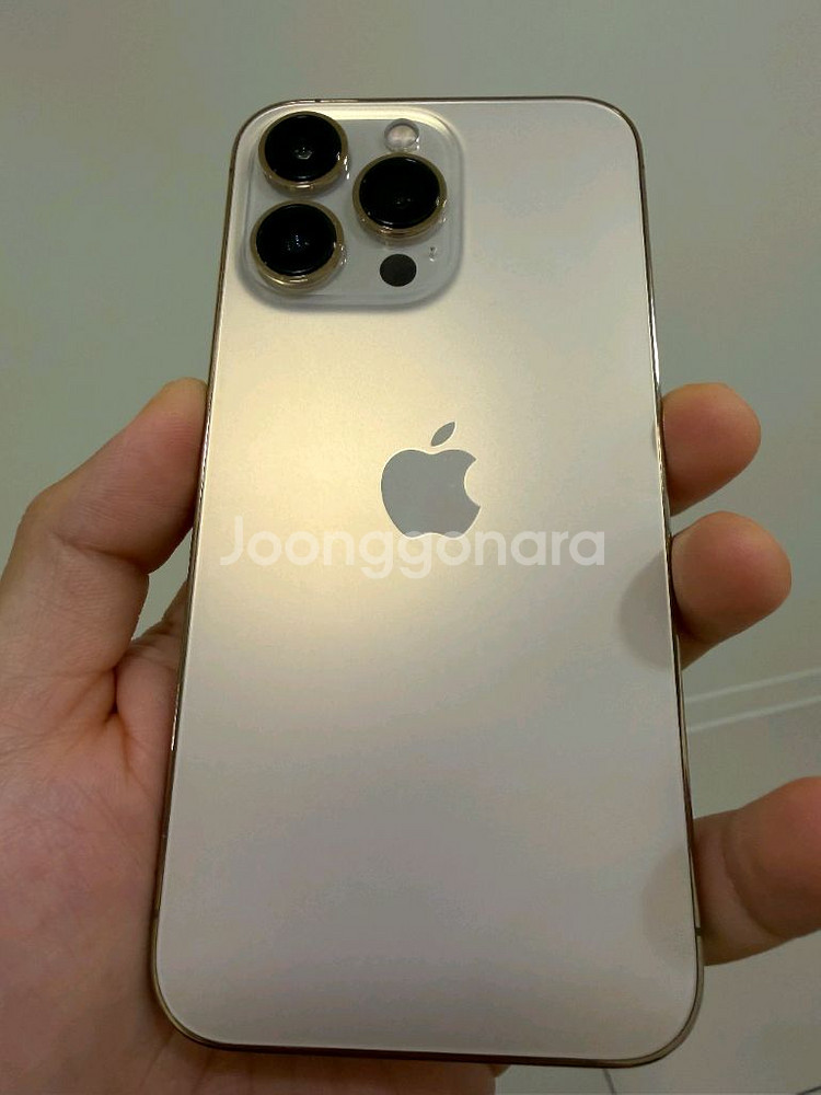 아이폰 13 프로 골드 256기가--1
