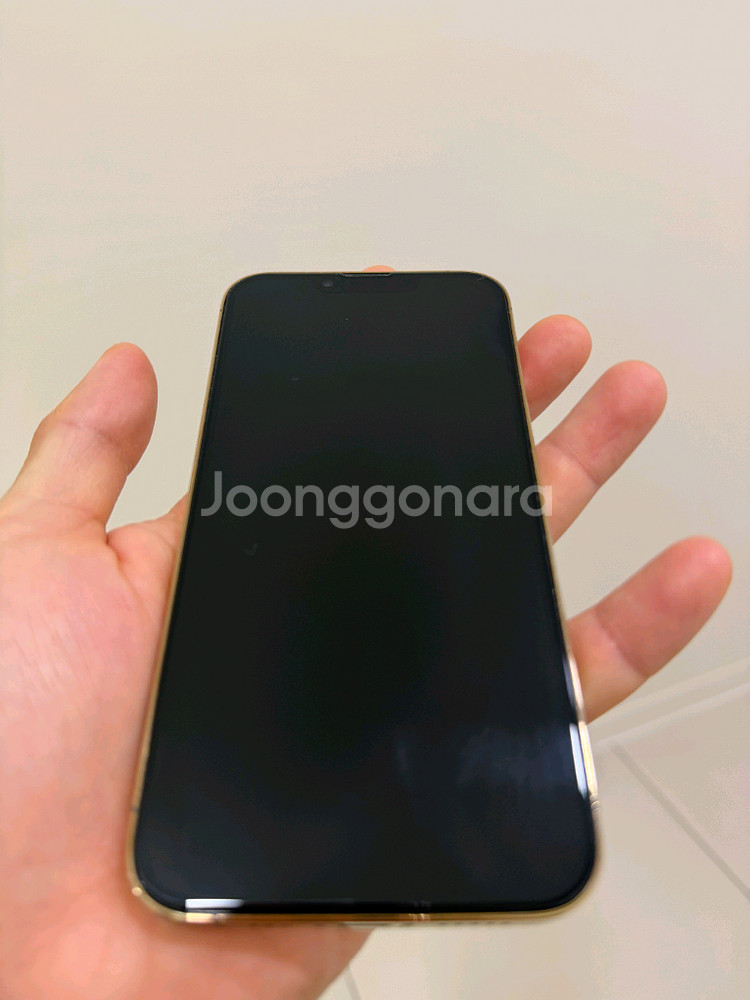 아이폰 13 프로 골드 256기가--0