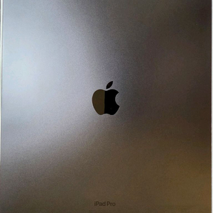 아이패드프로7세대 13인치256기가 셀룰러 190만원