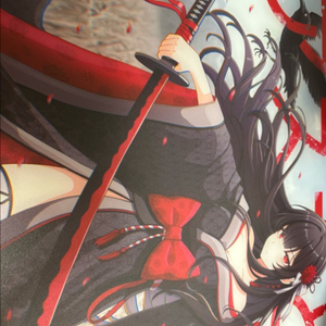 게임센스 아스카 소나 유리패드 풀박