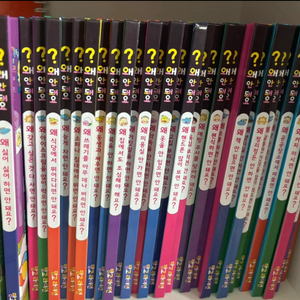 망고라이언 왜안돼요 전집