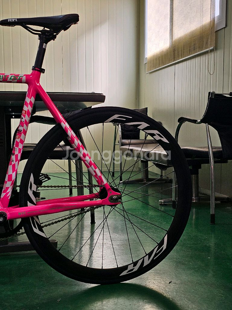 엔진11 DCC 팀에디션 픽시자전거--2