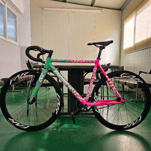 엔진11 DCC 팀에디션 픽시자전거