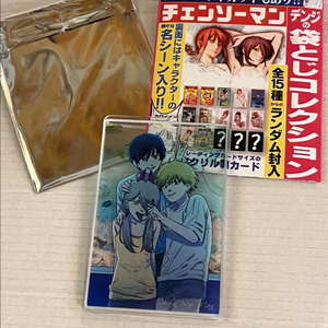 정품 수족관 스테이터스 카드 덴지 아키 파워 시크릿