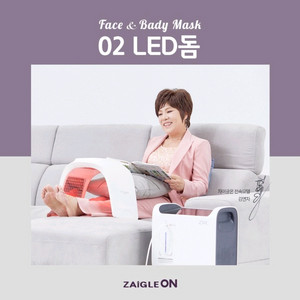 자이글온 LED 돔