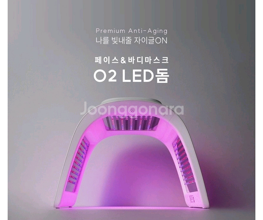 자이글온 LED 돔--1