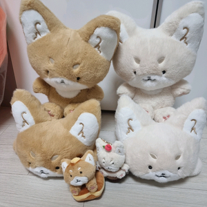 사막여우 인형 6개 풀세트