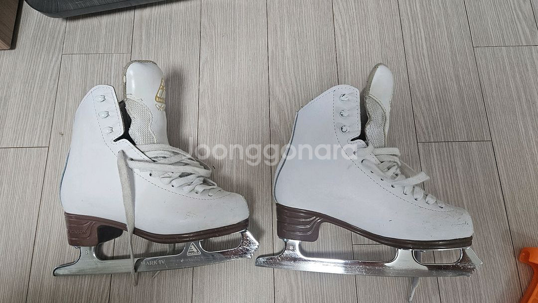 잭슨피겨화 1791--1