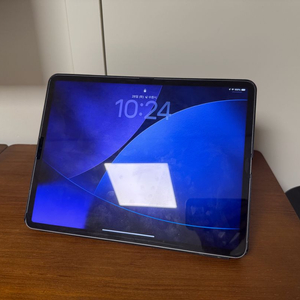 아이패드 프로 6세대 256gb wifi