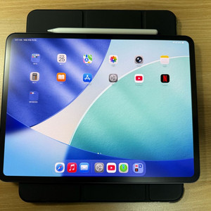 아이패드 프로13 M4 + 애플펜슬프로