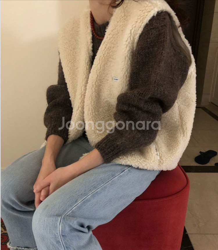 조이드비비에 덤블베스트--0