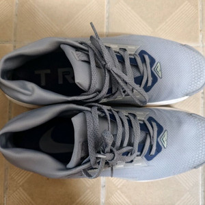 나이키 페가수스 트레일 런닝화 고어텍스 260mm (255추천)