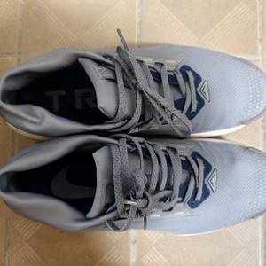 나이키 페가수스 트레일 런닝화 고어텍스 260mm (255추천)