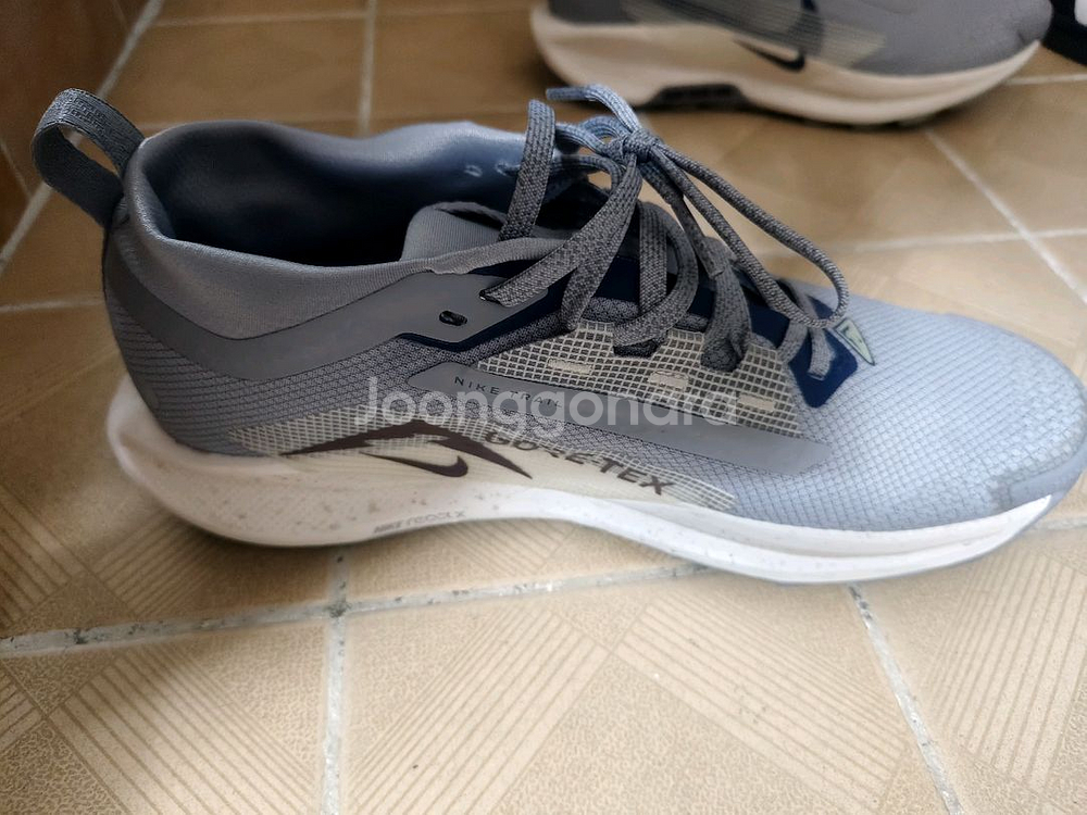 나이키 페가수스 트레일 런닝화 고어텍스 260mm (255추천)--2