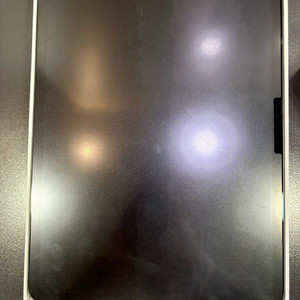 아이패드 프로11 m4 256 스그 팝니다