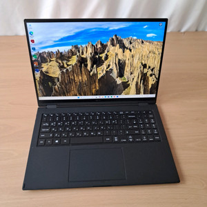 LG그램 360 16TD90P i5 16GB 256GB