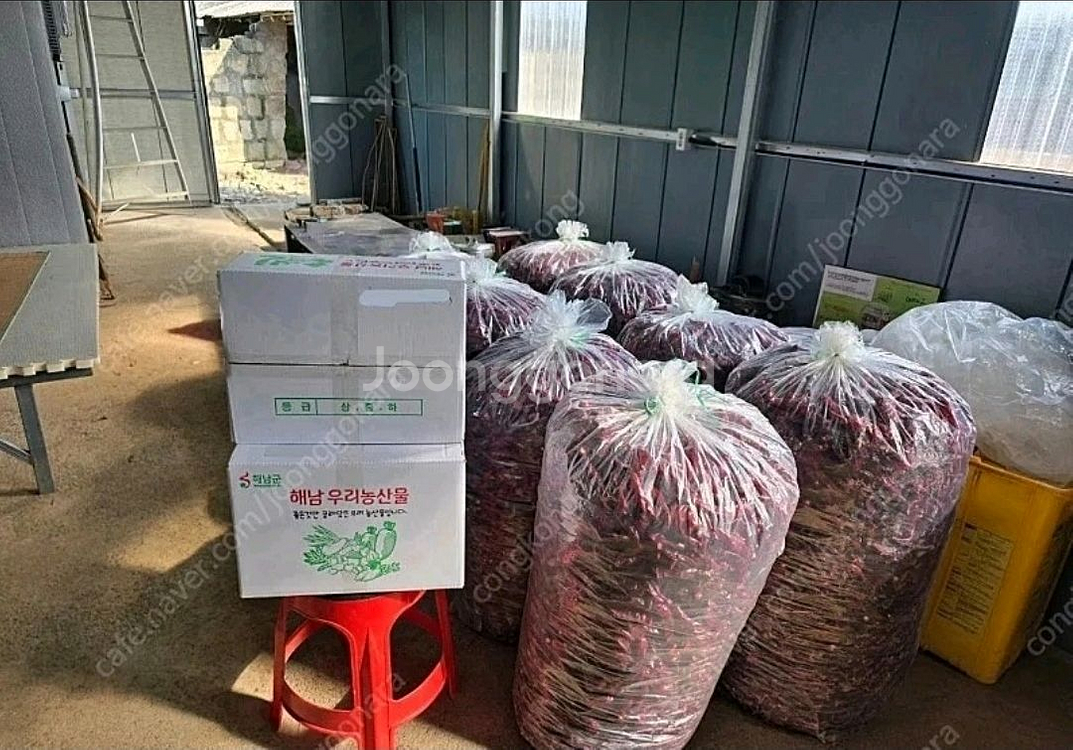 국산 햇 고춧가루 3kg<요리용> 고추--4