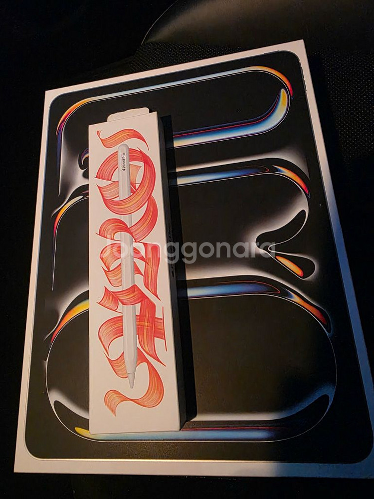 아이패드 프로 13인치 M4 셀룰러 256GB. 애케플, 펜슬프로--0