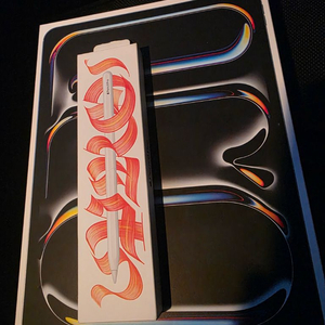 아이패드 프로 13인치 M4 셀룰러 256GB. 애케플, 펜슬프로