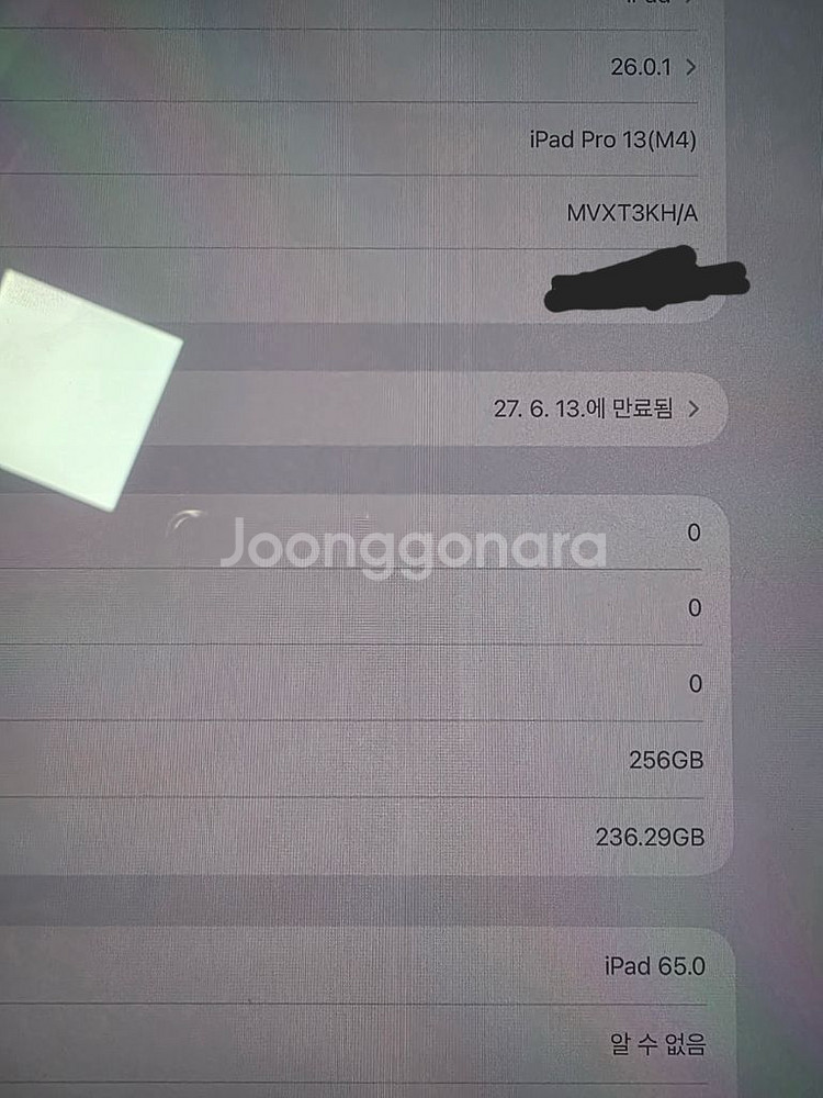 아이패드 프로 13인치 M4 셀룰러 256GB. 애케플, 펜슬프로--2