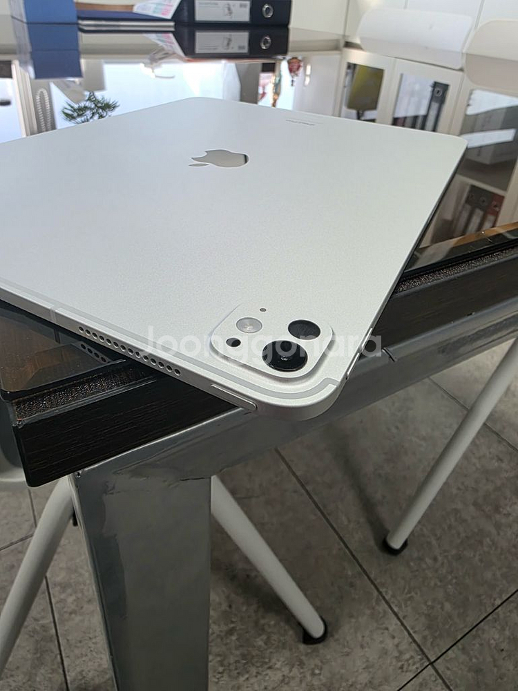 아이패드 프로 13인치 M4 셀룰러 256GB. 애케플, 펜슬프로--5