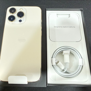 아이폰 13 프로 골드 1TB