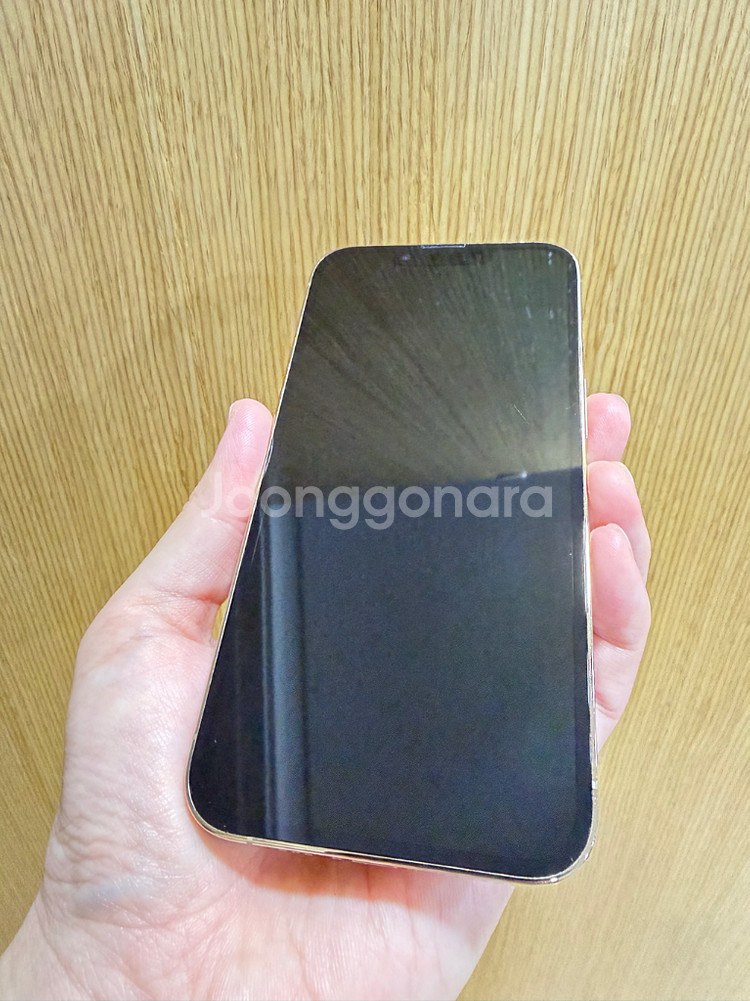 아이폰 13 프로 골드 1TB--6