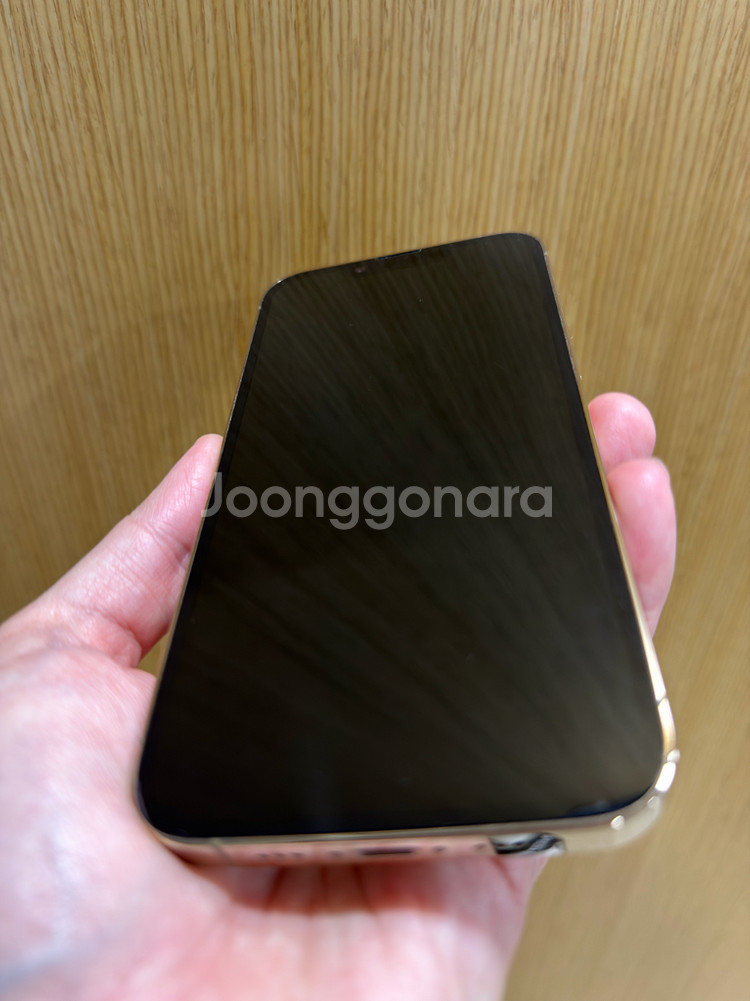 아이폰 13 프로 골드 1TB--8