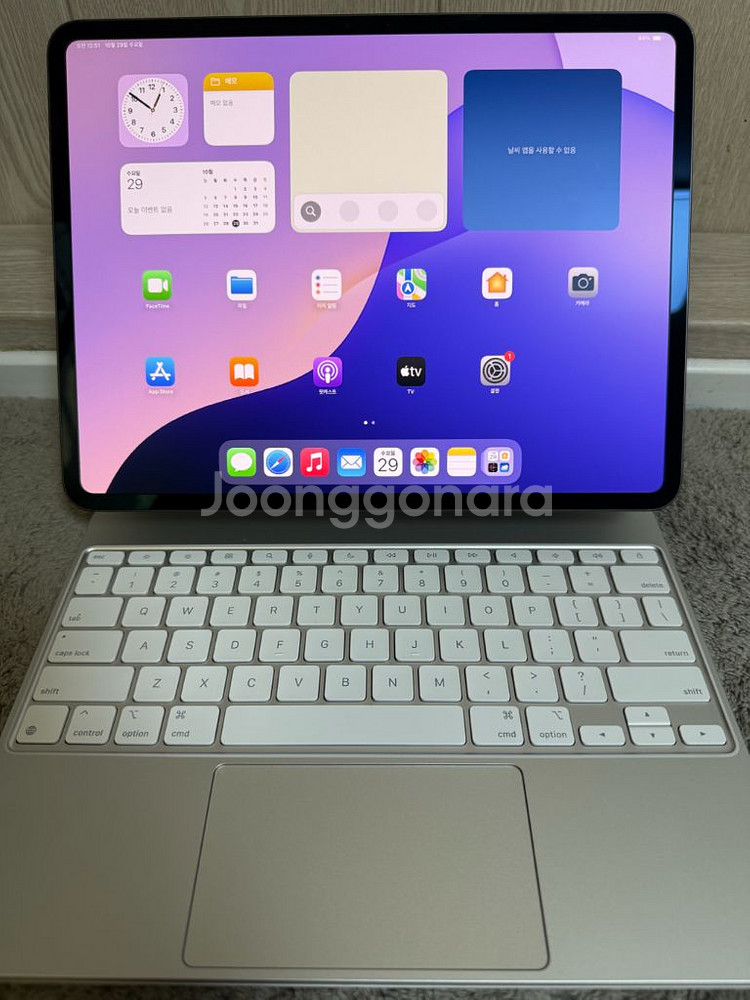 아이패드 프로 M4 13인치 1TB WIFI 나노텍스쳐--0