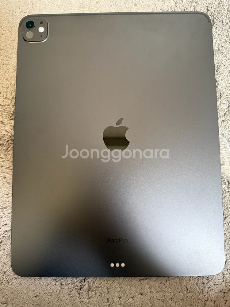아이패드 프로 M4 13인치 1TB WIFI 나노텍스쳐--1