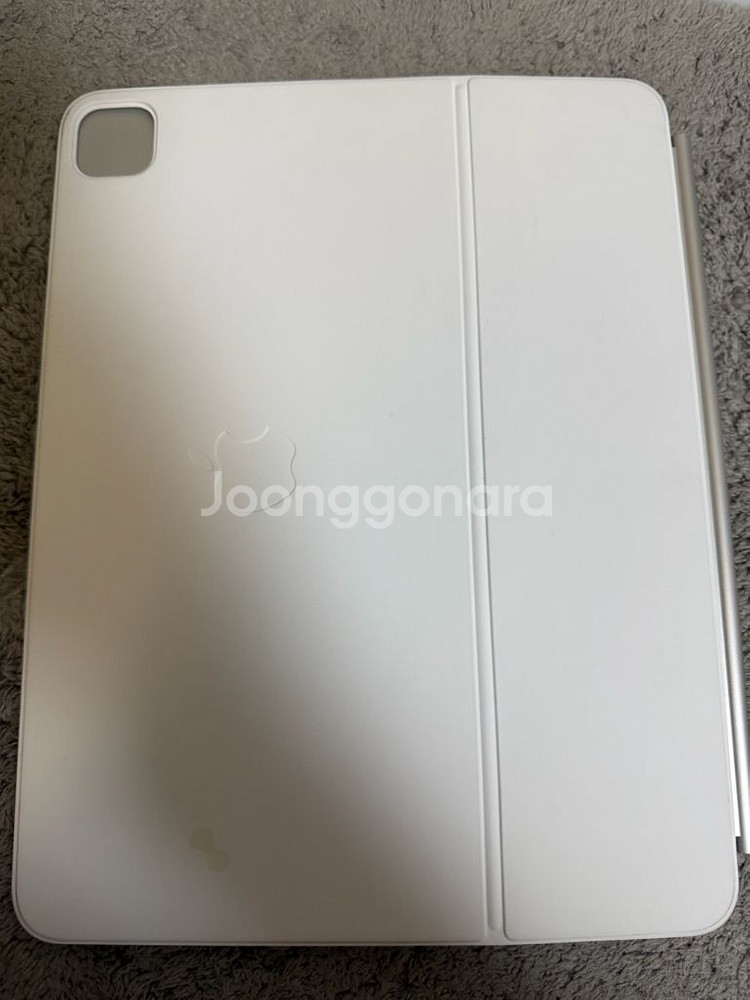 아이패드 프로 M4 13인치 1TB WIFI 나노텍스쳐--5