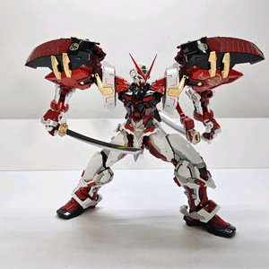 건담 시드/아스트레이 먹선, 마감제 일괄 pg 하이레조 mg