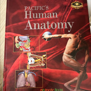 작업치료 패드리티 임상운동학 및 기능해부학 교재