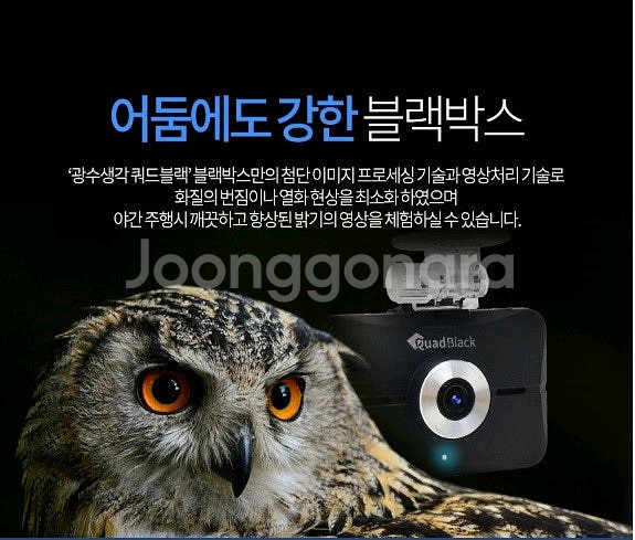 ALLBAMY 32G (GPS 포함)10세트--4