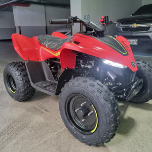 EFI방식의 C포스110 (성능최고) ATV