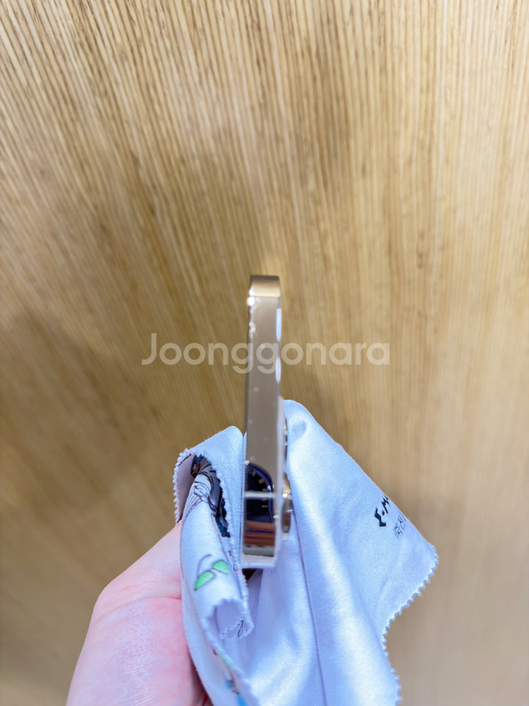 아이폰 13 프로 골드 1TB--3