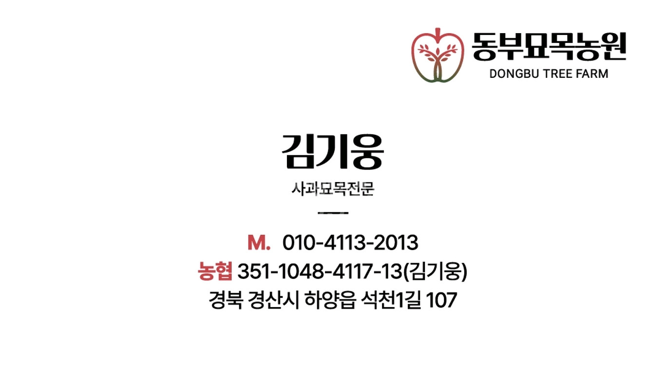 케이윈후지 사과묘목--2