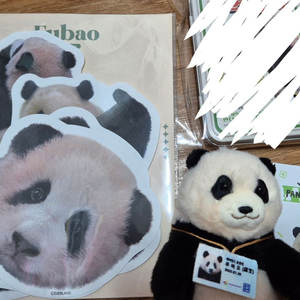 푸바오 바오패밀리 굿즈 일괄 판매 합니다!