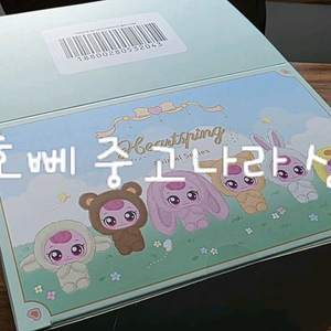 캐치티니핑 하츄핑 애니멀 키링 세트박스