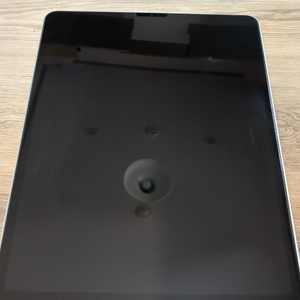 아이패드 프로 12.9 256G wifi 5세대 실버